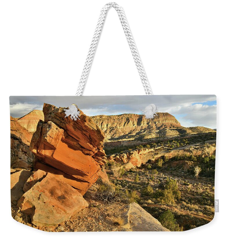 Colorado National Monument Weekender Tote Bag featuring the photograph Cliffside Rock Cropping in Colorado National Monument by Ray Mathis