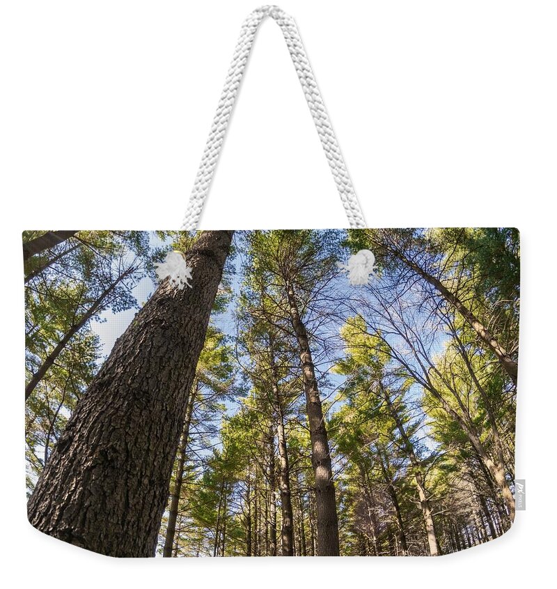 Trees Weekender Tote Bag featuring the photograph Climbing High by Phil S Addis
