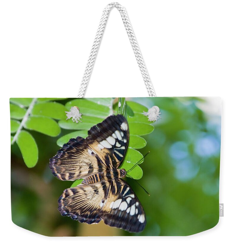 Natural Pattern Weekender Tote Bag featuring the photograph Clipper by By Ken Ilio