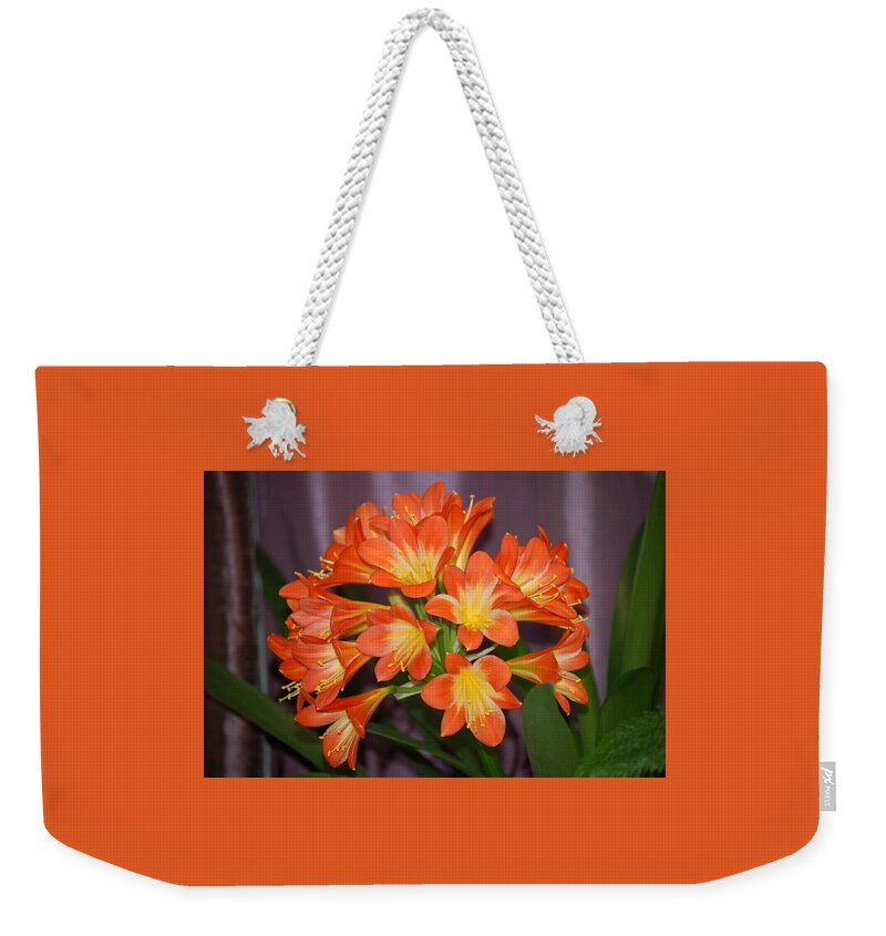 Flowers Weekender Tote Bag featuring the photograph Clivia Blossoms by Nancy Ayanna Wyatt