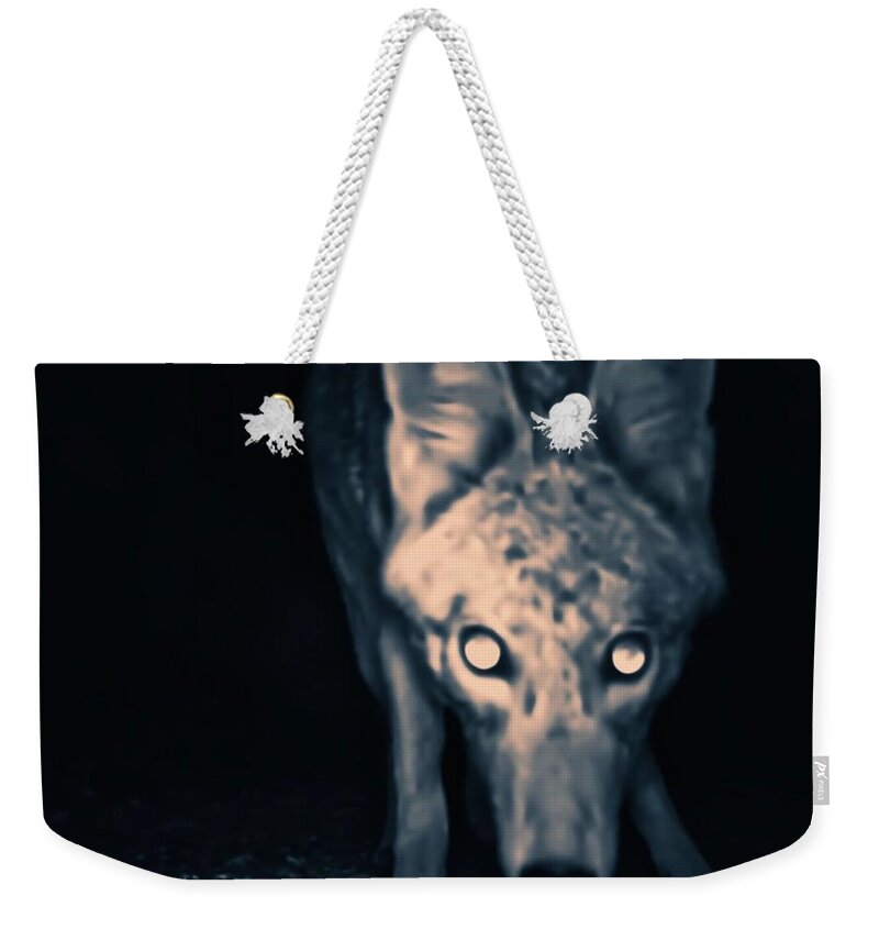 Animal Trail Weekender Tote Bag featuring the photograph Close Enough? by Judy Kennedy