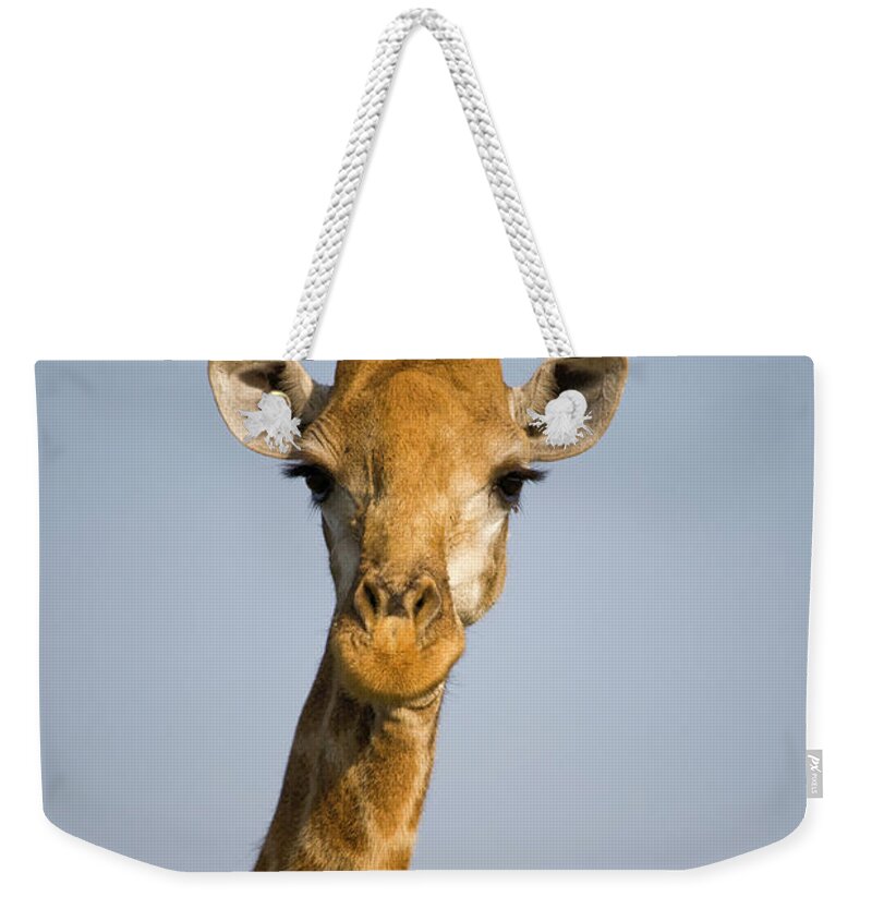 Alertness Weekender Tote Bag featuring the photograph Close-up Of Giraffe, South Africa Safari by Karen Desjardin