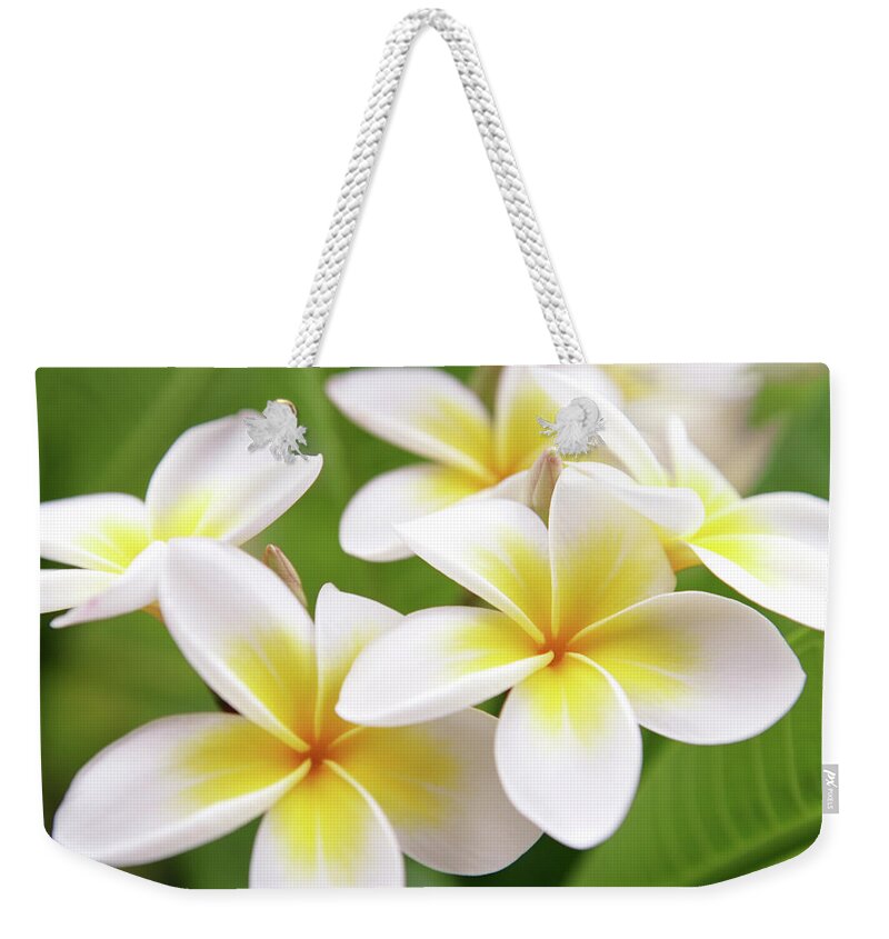 Bunch Weekender Tote Bag featuring the photograph Close Up Of White And Yellow Plumeria by Hidesy