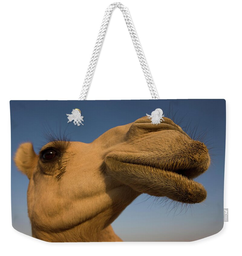 Animal Themes Weekender Tote Bag featuring the photograph Close View Of Camels Head by Martin Child