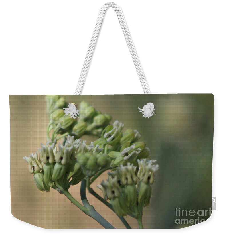 Milkweed Weekender Tote Bag featuring the photograph Closeup of Desert Milkweed at Sunnyland Garden in Rancho Mirage by Colleen Cornelius