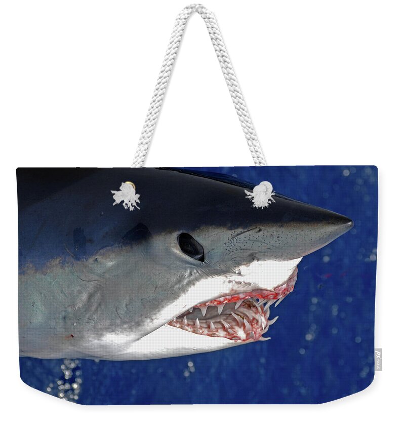 Shark Weekender Tote Bag featuring the photograph Closeup Of Mako Shark by David Shuler