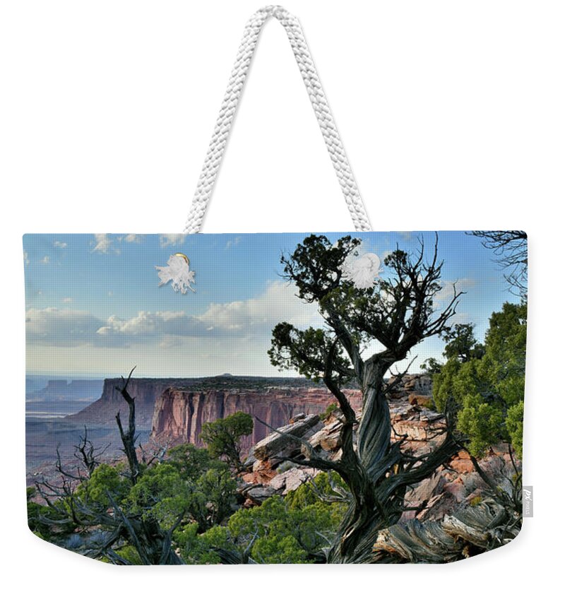 Canyonlands National Park Weekender Tote Bag featuring the photograph Clouds over Canyonlands National Park by Ray Mathis