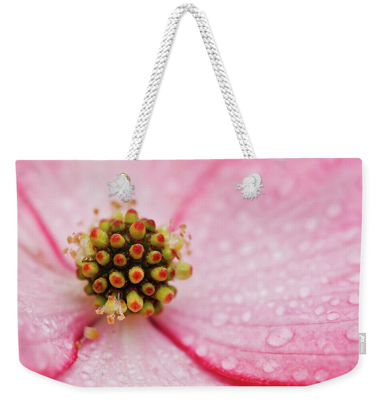 Dogwood Weekender Tote Bag featuring the photograph Cluster Of Dogwood Flowers by Laszlo Podor