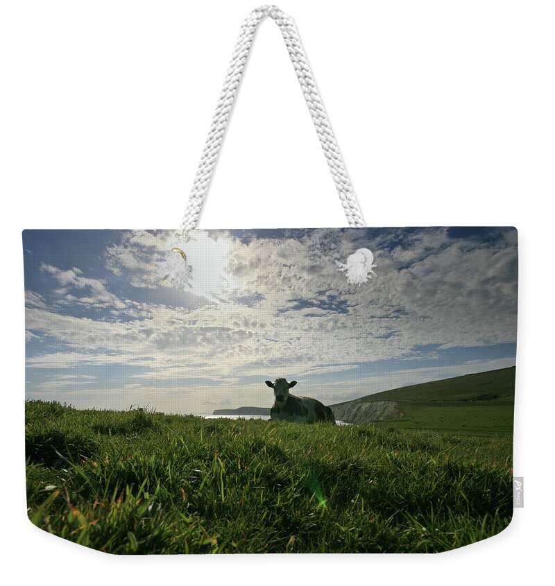 Grass Weekender Tote Bag featuring the photograph Coastal Cow by S0ulsurfing - Jason Swain