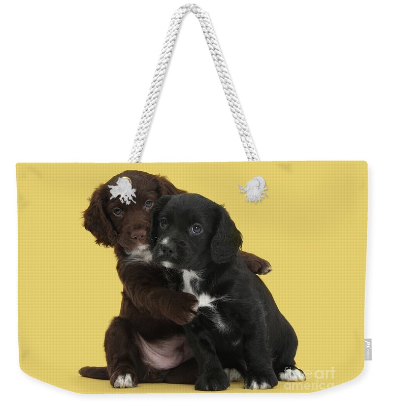Cocker Spaniel Weekender Tote Bag featuring the photograph Cocker cuddles by Warren Photographic