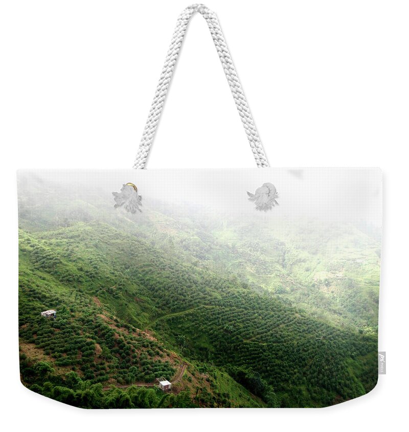 Natural Pattern Weekender Tote Bag featuring the photograph Coffee Plantation In Jamaica by © Rick Elkins