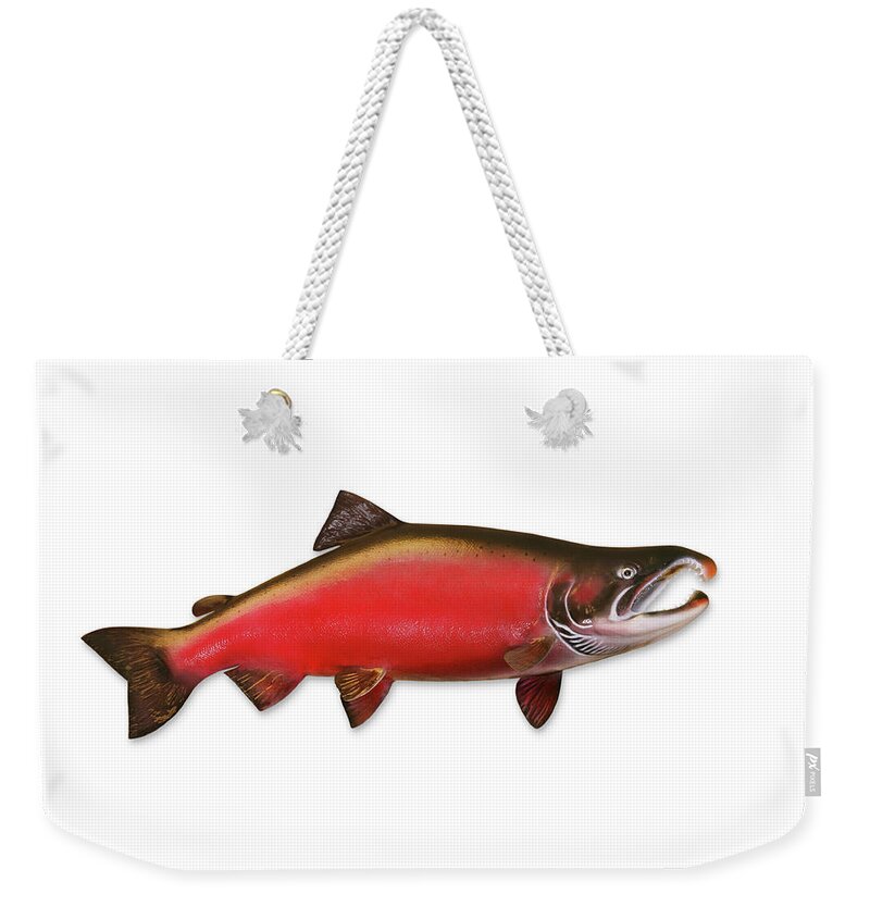 Orange Color Weekender Tote Bag featuring the photograph Coho Salmon With Clipping Path by Georgepeters