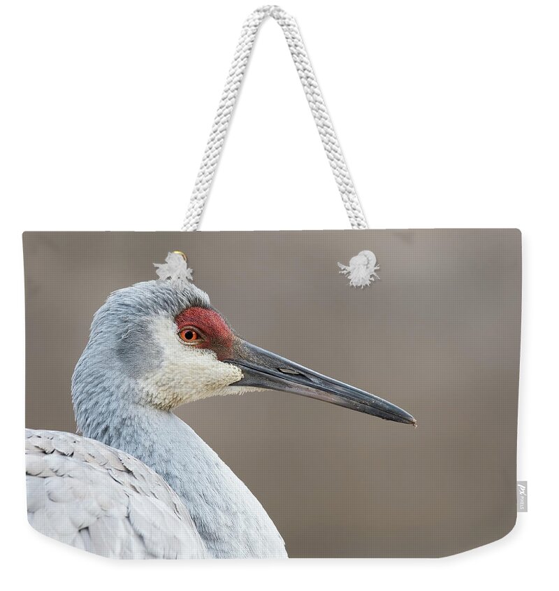 Sandhill Crane Weekender Tote Bag featuring the photograph Cold Morning by Jim Zablotny