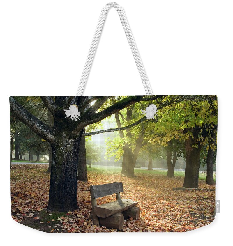 Outdoors Weekender Tote Bag featuring the photograph Cold Morning Warm Rays by Step2626