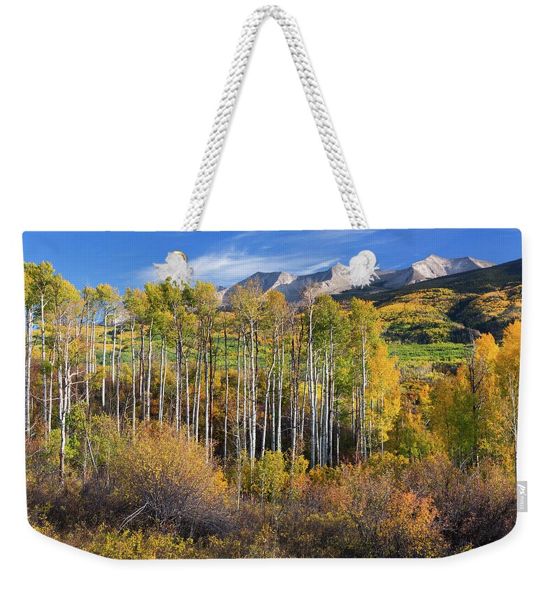 America Weekender Tote Bag featuring the photograph Colorado Autumn Aspens by John De Bord
