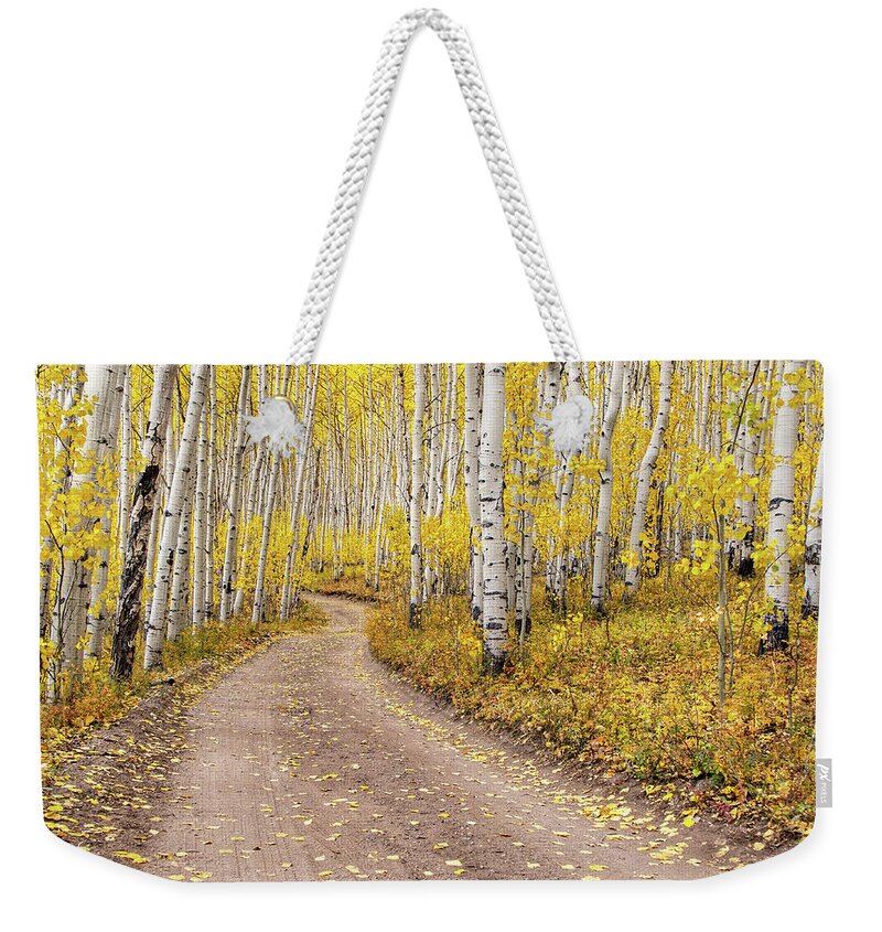 Aspen Weekender Tote Bag featuring the photograph Colorado Gold by Rand Ningali