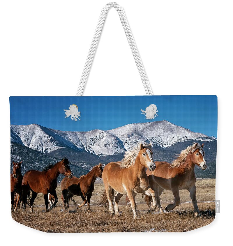 Horse Weekender Tote Bag featuring the photograph Colorado Horses 2 by David Soldano