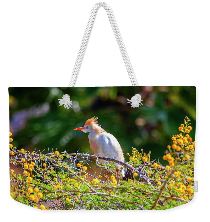 Egret Weekender Tote Bag featuring the photograph Colorful Cattle Egret by Anthony Jones