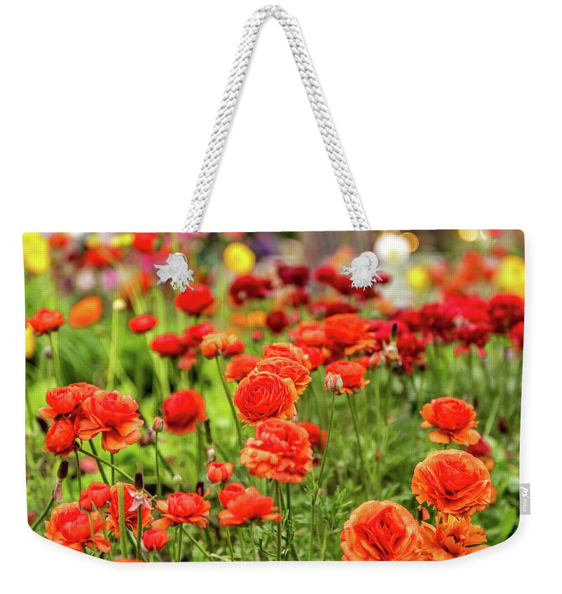 Italy Weekender Tote Bag featuring the photograph Colorful Flowers In Garden by Vivida Photo PC