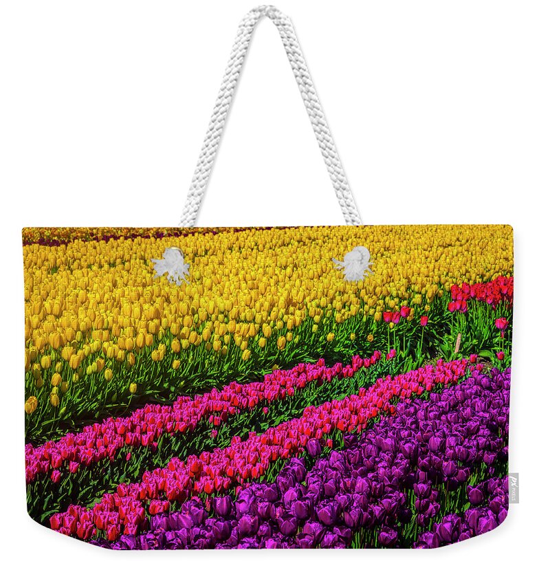 Tulip Weekender Tote Bag featuring the photograph Colorful Rows Of Spring Tulips by Garry Gay