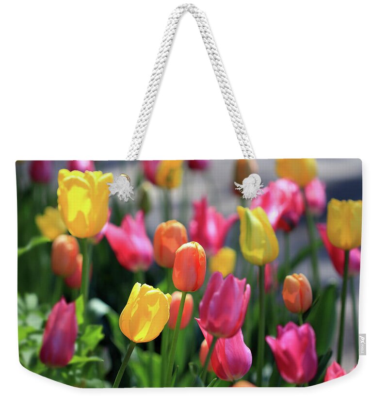 Tulips Weekender Tote Bag featuring the photograph Colorful Tulips by Angela Murdock