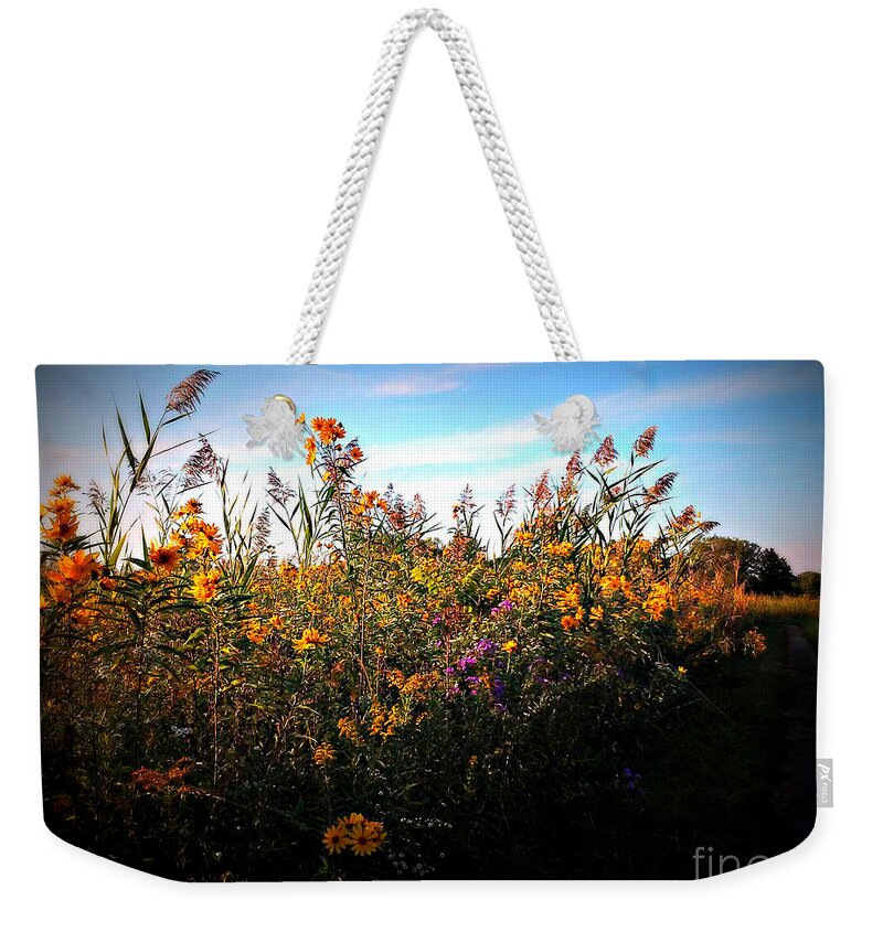 Nature Weekender Tote Bag featuring the photograph Colorful Wild Flowers Under the Blue Sky by Frank J Casella
