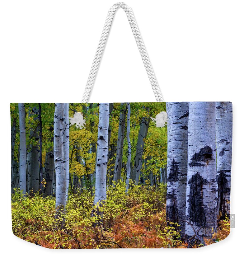 America Weekender Tote Bag featuring the photograph Colors of October by John De Bord