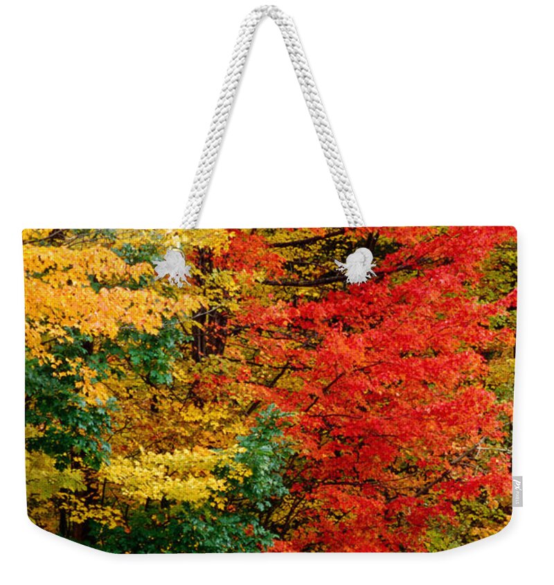 Outdoors Weekender Tote Bag featuring the photograph Colourful Autumn Foliage, United States by Izzet Keribar