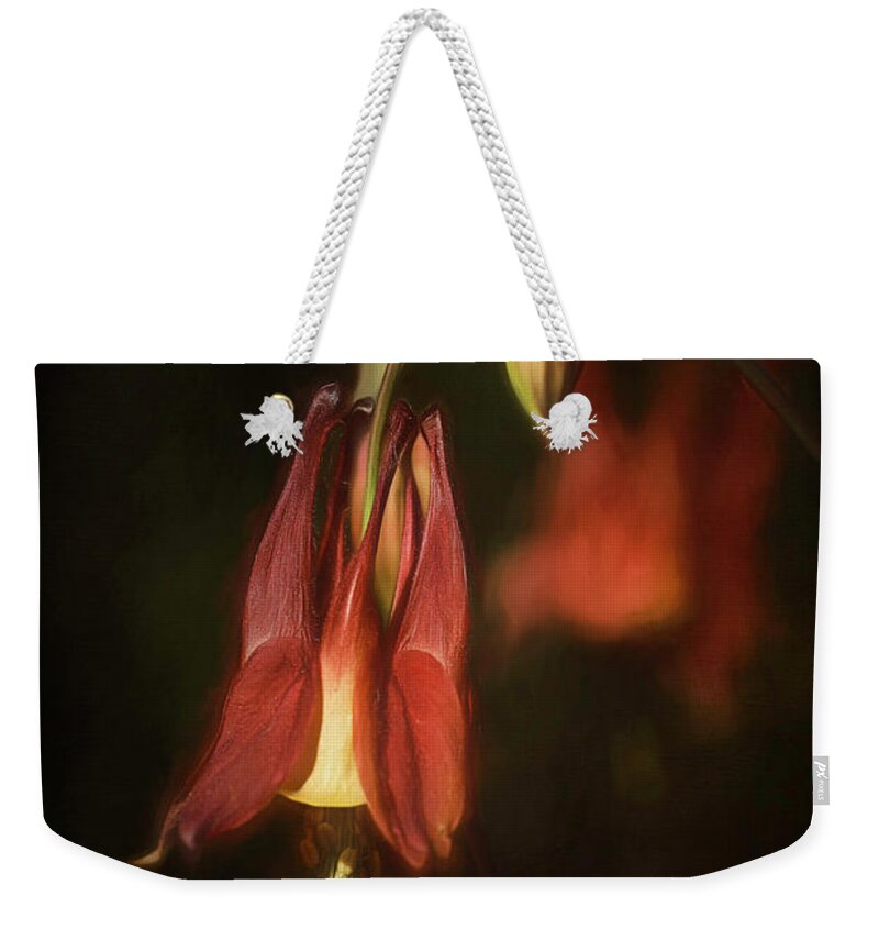 Columbine Weekender Tote Bag featuring the photograph Columbine by Cindi Ressler