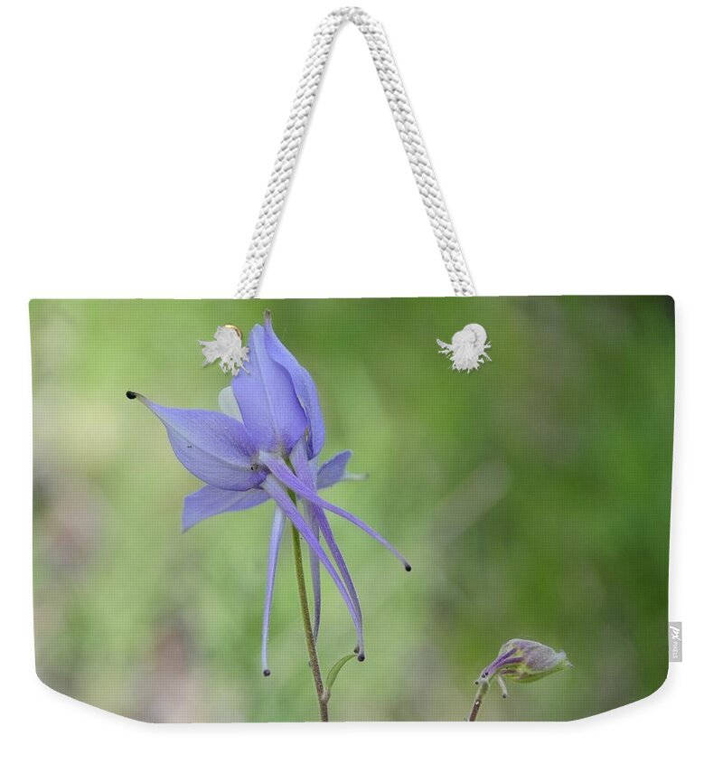  Weekender Tote Bag featuring the photograph Columbine details by Susie Rieple