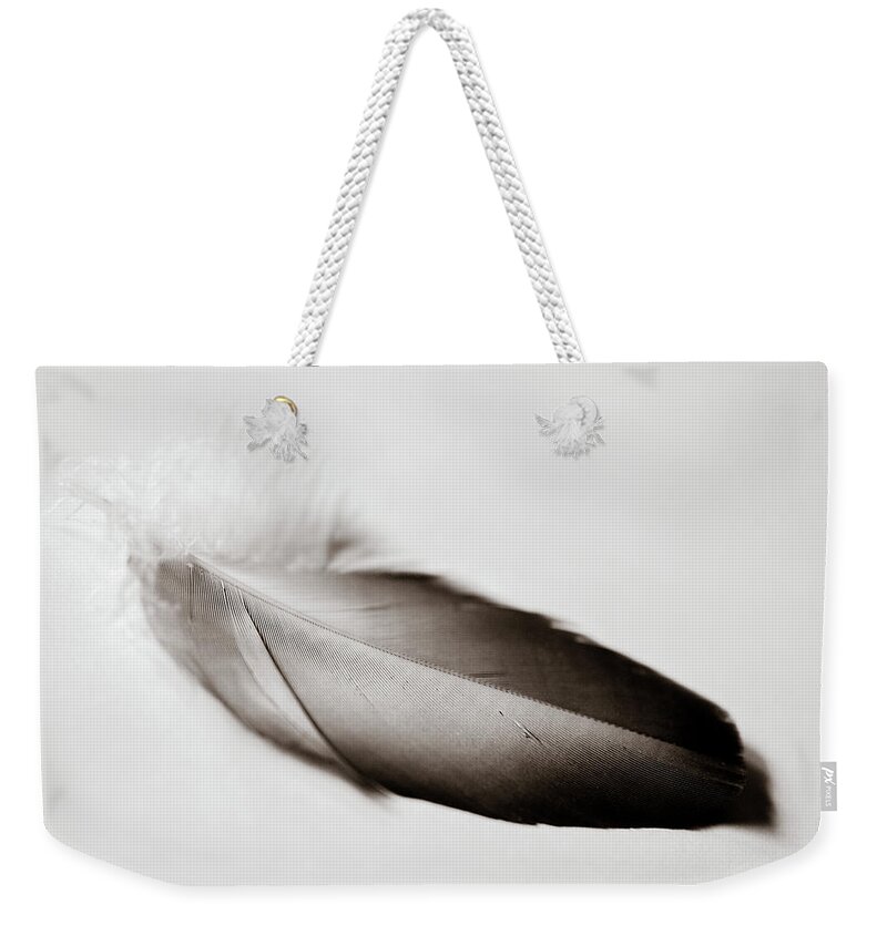Feather Weekender Tote Bag featuring the photograph Comfort by Michelle Wermuth