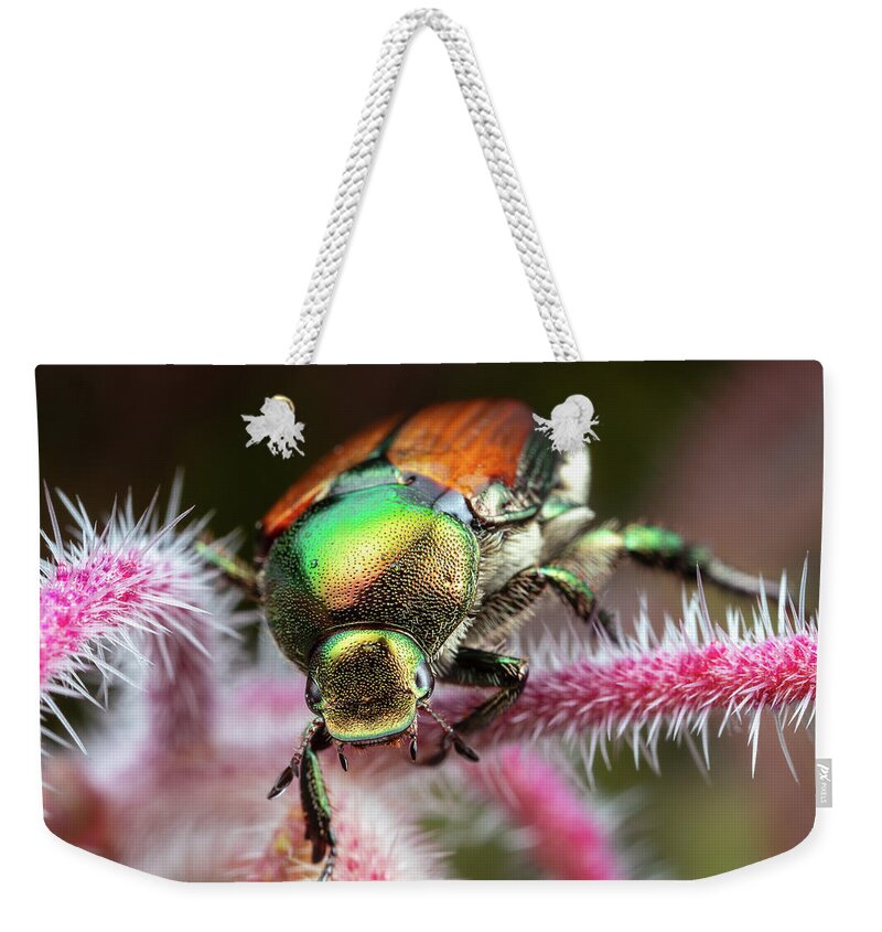 Japanese Beetle Insect Nature Closeup Close Up Close-up Outside Outdoors Brian Hale Brianhalephoto Macro Weekender Tote Bag featuring the photograph Comin atcha by Brian Hale