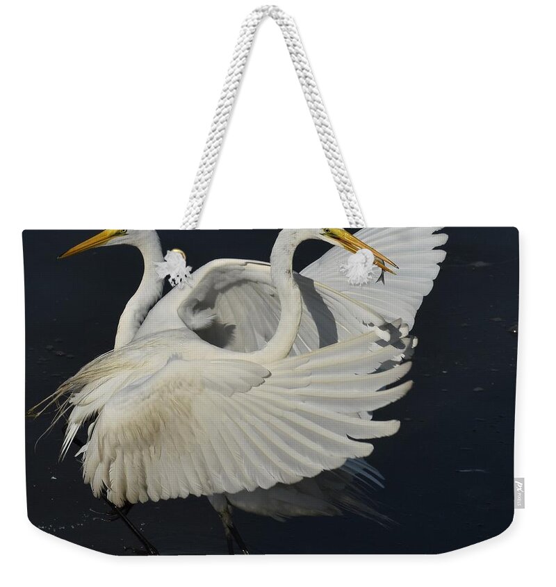 Great Egret Weekender Tote Bag featuring the photograph Coming Or Going by Chip Gilbert