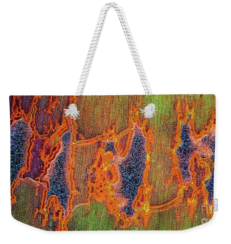 Fine Art Photography Weekender Tote Bag featuring the photograph Connections by John Strong