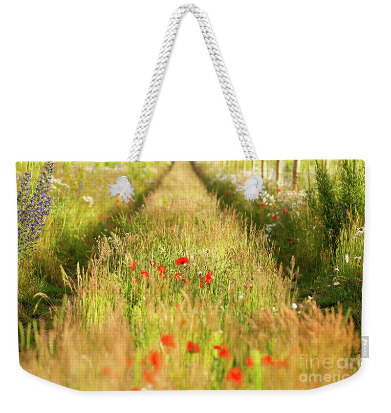 Converging Weekender Tote Bag featuring the photograph Converging tracks in a flower meadow by Simon Bratt