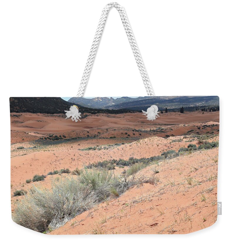 Kanab Weekender Tote Bag featuring the photograph Coral Pink Sand Dunes by Donna Kennedy