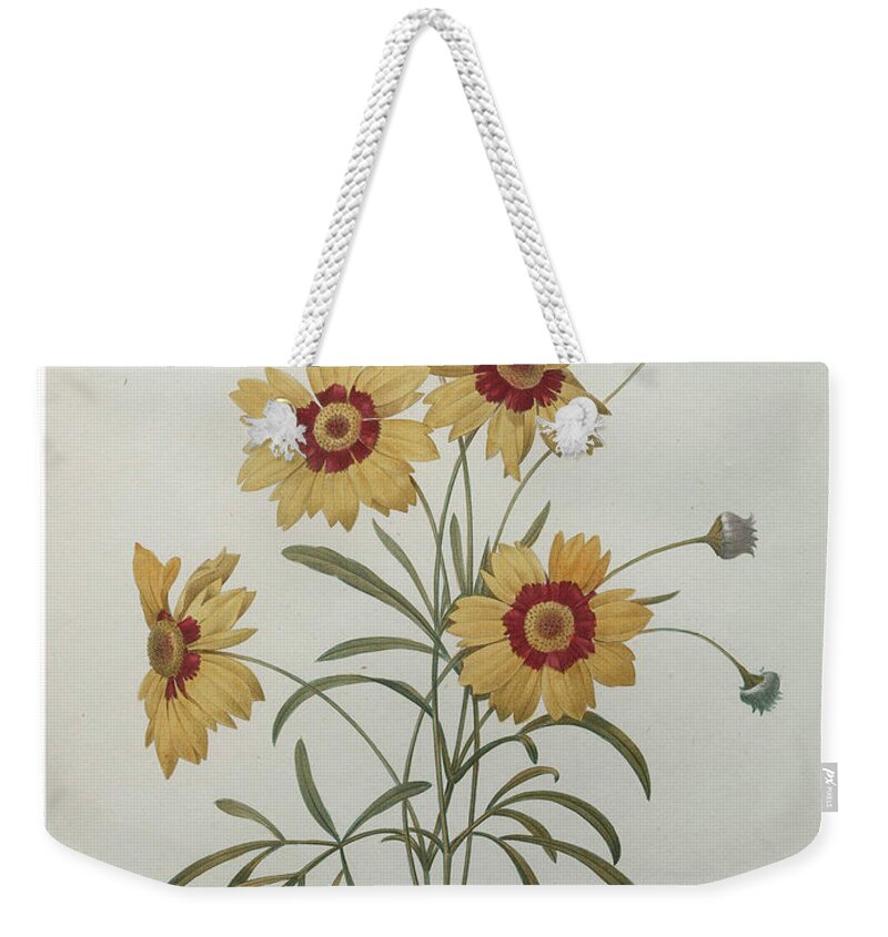 Redoute Weekender Tote Bag featuring the painting Coreopsis or Tickseed by Pierre-Joseph Redoute