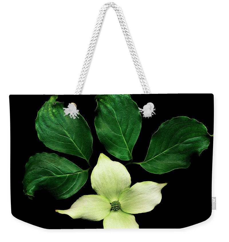 Dogwood Weekender Tote Bag featuring the photograph Cornus Plant Against Black Background by Mike Hill