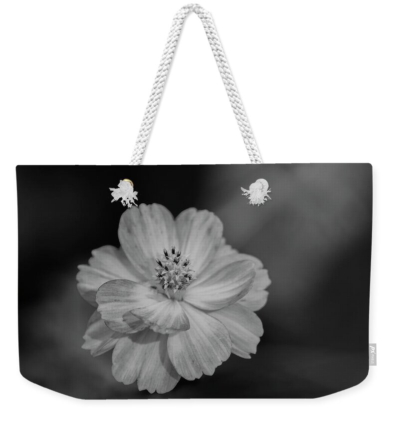Orange Cosmos Flower Weekender Tote Bag featuring the photograph Cosmos 2018-2A by Thomas Young