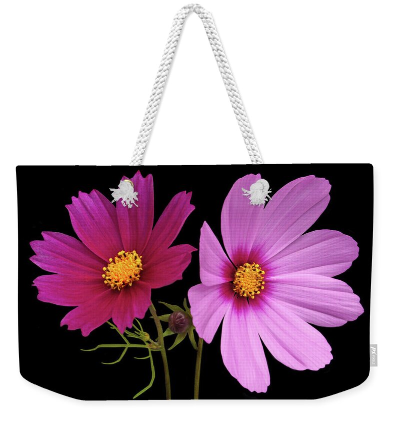 Cosmos Weekender Tote Bag featuring the photograph Cosmos Duet by Terence Davis