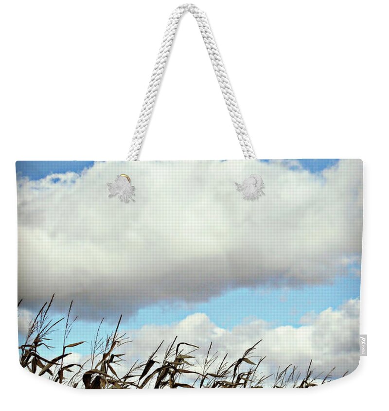 Country Autumn Curves Weekender Tote Bag featuring the photograph Country Autumn Cuves 5 by Cyryn Fyrcyd