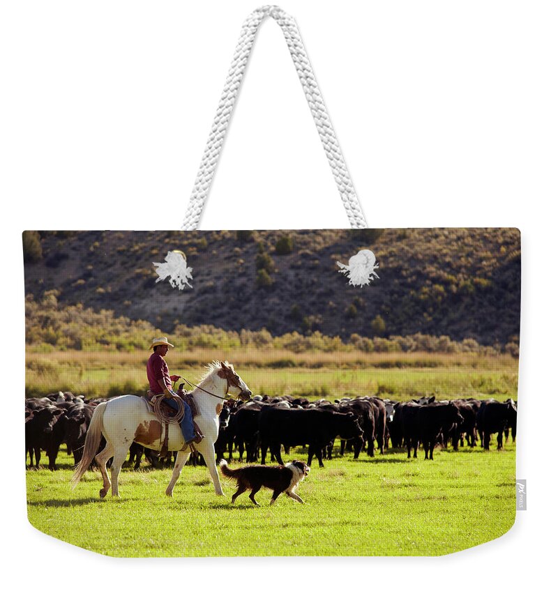 Horse Weekender Tote Bag featuring the photograph Cowboy Herding Cattle by John P Kelly