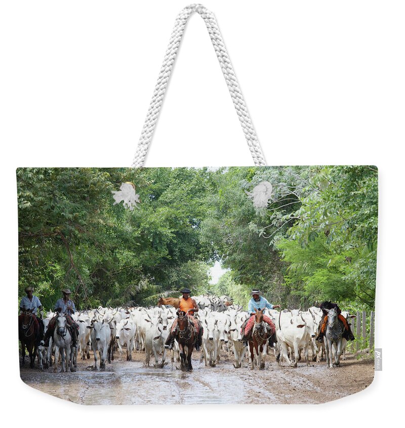 Young Men Weekender Tote Bag featuring the photograph Cowboy Herding Cows Through Mud by Laurie Noble