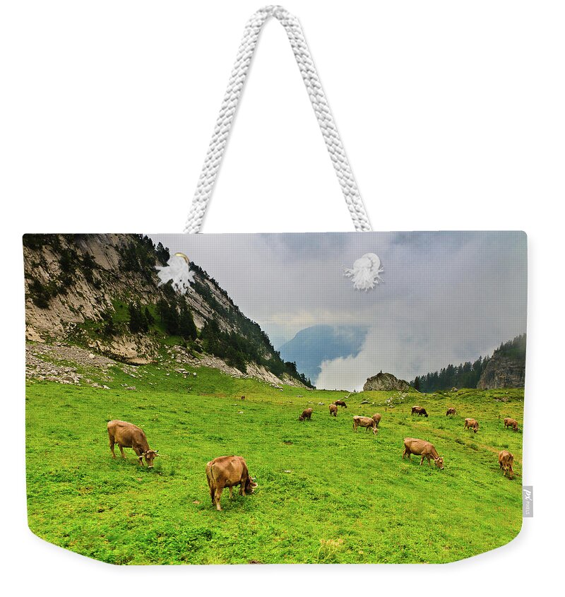 Grass Weekender Tote Bag featuring the photograph Cows In Swiss Alps by Matthew Crowley Photography