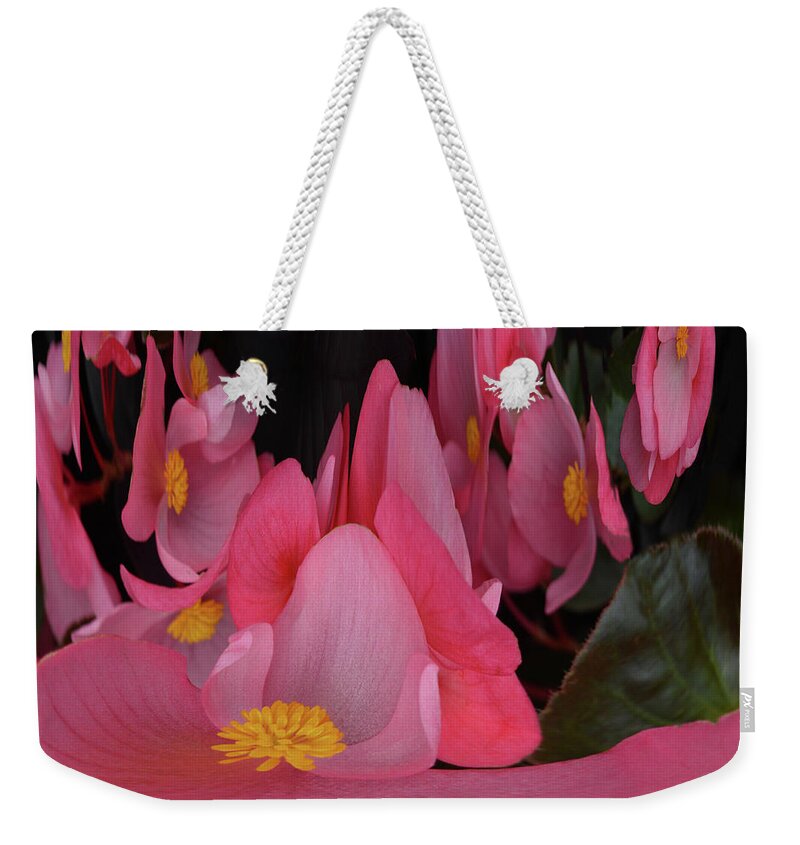 Begonia's Weekender Tote Bag featuring the photograph Creation of Begonia's by Terence Davis