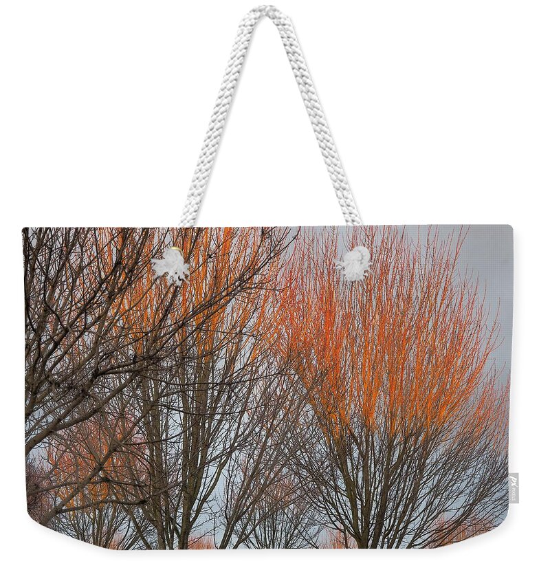 Landscape Weekender Tote Bag featuring the photograph Creator's Airbrush by Richard Thomas