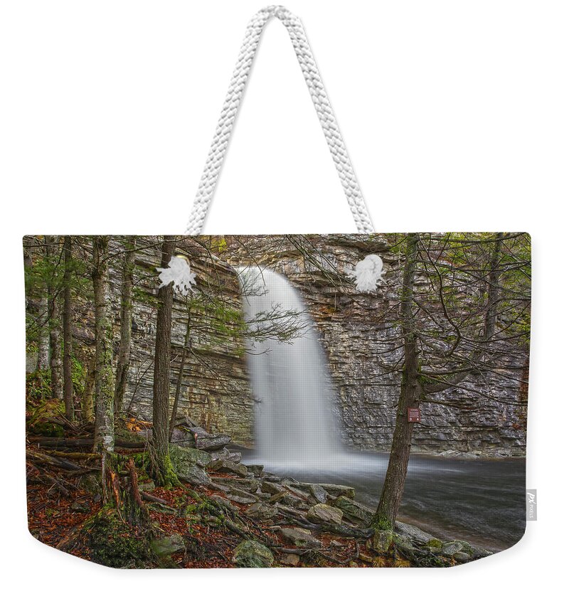 Landscape Weekender Tote Bag featuring the photograph Creatures In The Mist by Angelo Marcialis