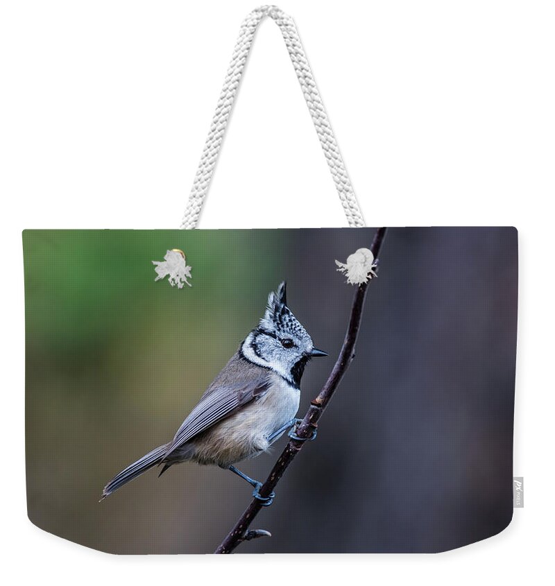 Crested Tit On A Twig Weekender Tote Bag featuring the photograph Crested Tit on a twig by Torbjorn Swenelius
