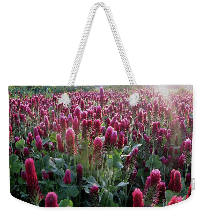 Fields Weekender Tote Bag featuring the photograph Crimson Clover Fields by Rich Collins