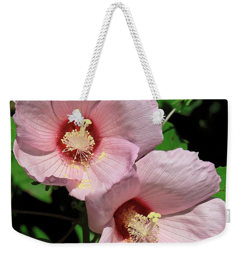Nature Weekender Tote Bag featuring the photograph Crimson-eyed Rosemallows DSMF0114 by Gerry Gantt